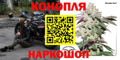 соль курить ск Партизанск