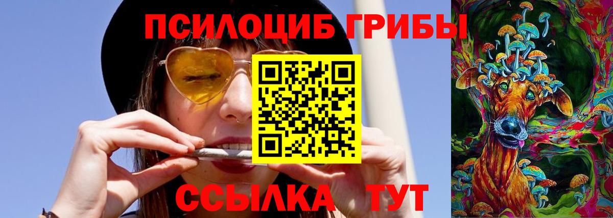 Галлюциногенные грибы Cubensis Октябрьский