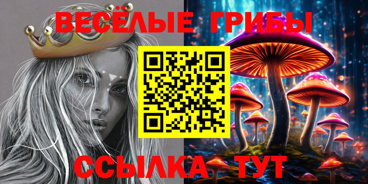 Галлюциногенные грибы прущие грибы  Вход с VPN  Октябрьский 